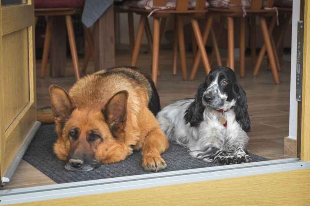 Utulny Domek V Zahrade V Unhosti Nedaleko Letiste Buitenkant foto